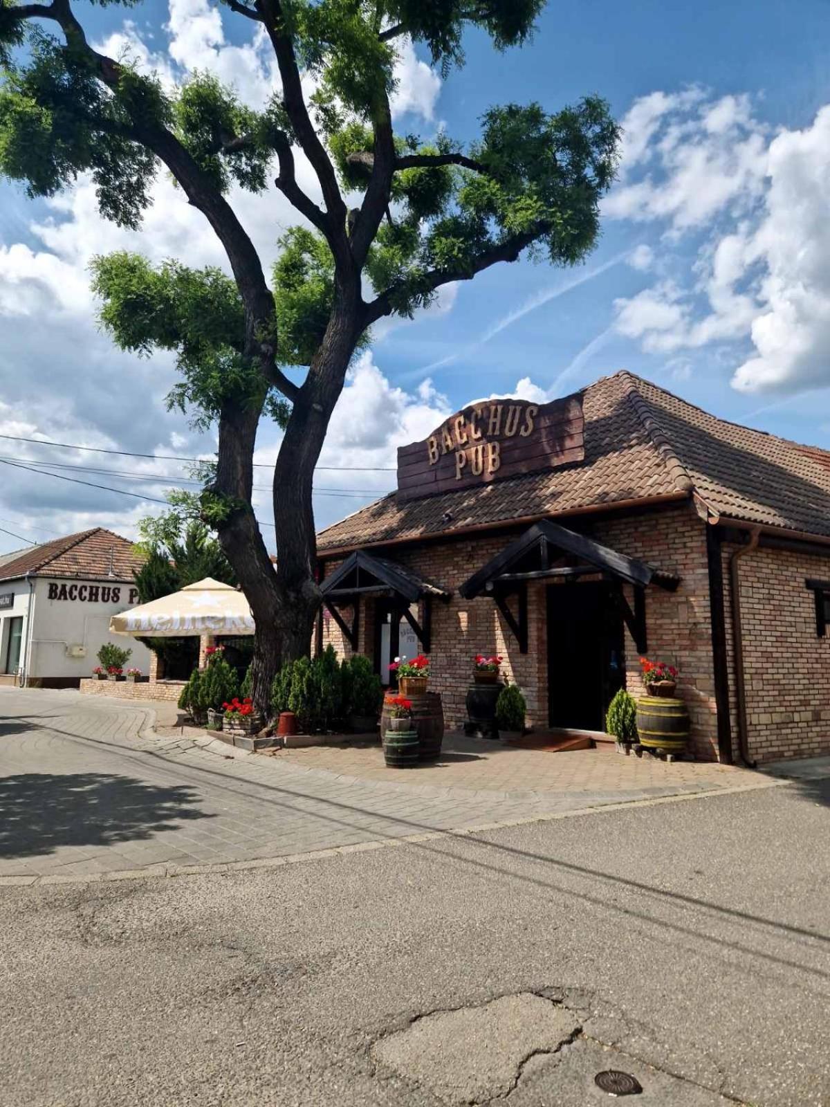 Bed and Breakfast Bacchus Pub Es Panzio Dunaharaszti Exterior foto